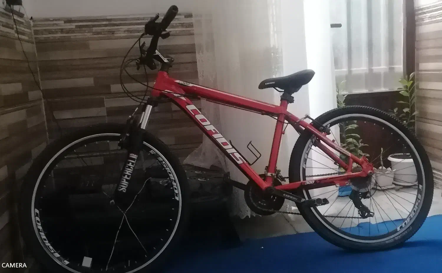 دو چرخه|دوچرخه، اسکیت، اسکوتر|لاله زار, |دیوار