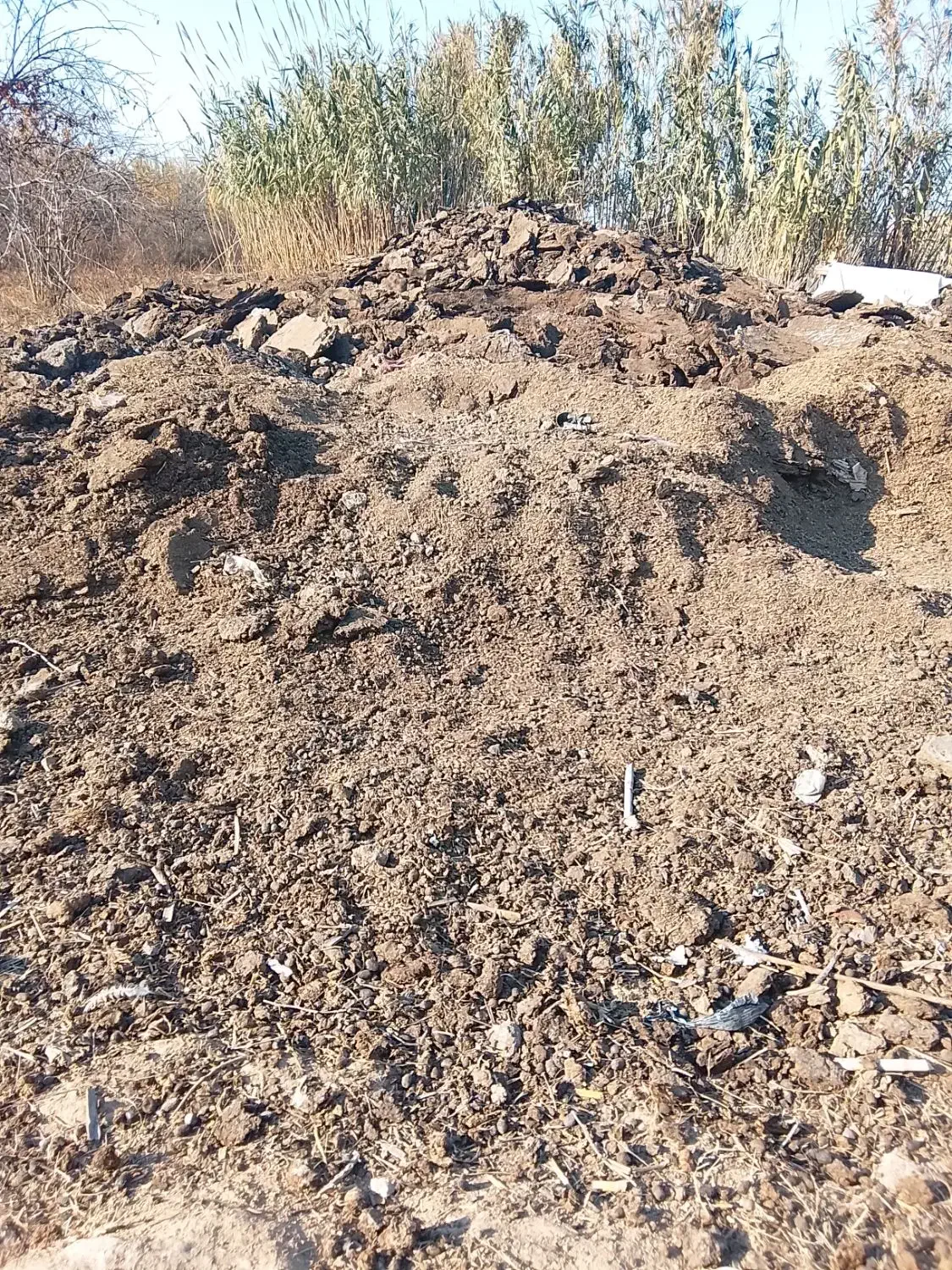 پوش گوسفند|لوازم جانبی حیوانات|آق قلا, |دیوار