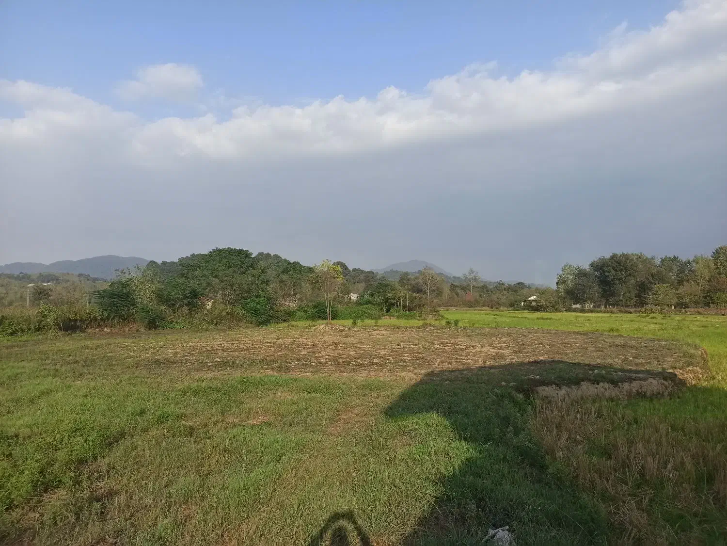 فروش زمین ۲۵۰۰متری|فروش زمین و ملک کلنگی|لاهیجان, آهندان|دیوار