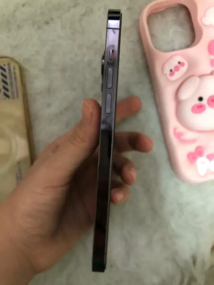 ایفون ۱۴ پرو مکس zaa کارکرده در حدpromax|موبایل|ری, فیروزآبادی|دیوار