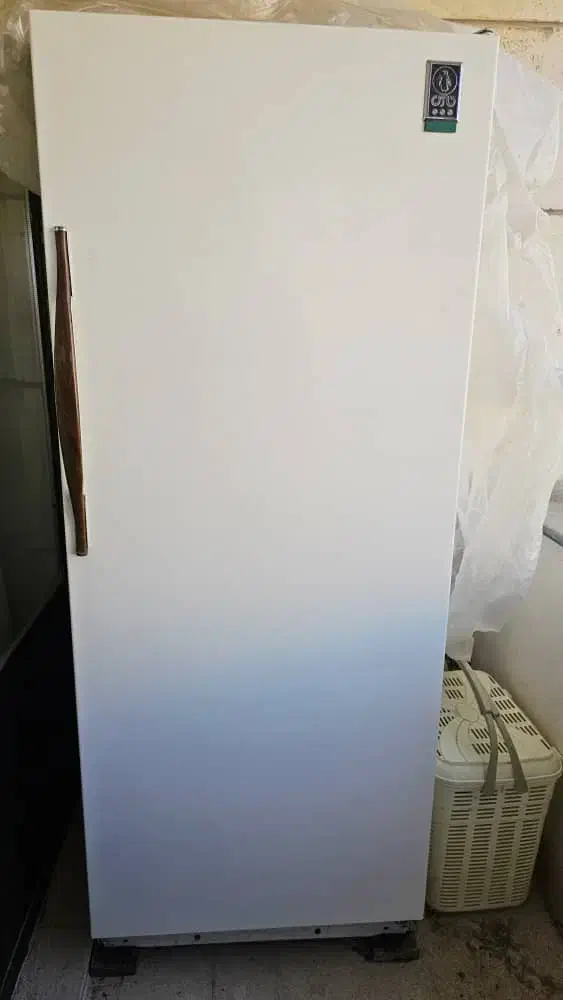 یخچال|یخچال و فریزر|صدرا-فارس, فاز ۱|دیوار