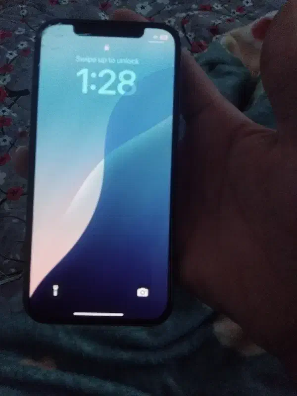 ایفون 12پرو درحد صفر|موبایل|چابهار, |دیوار