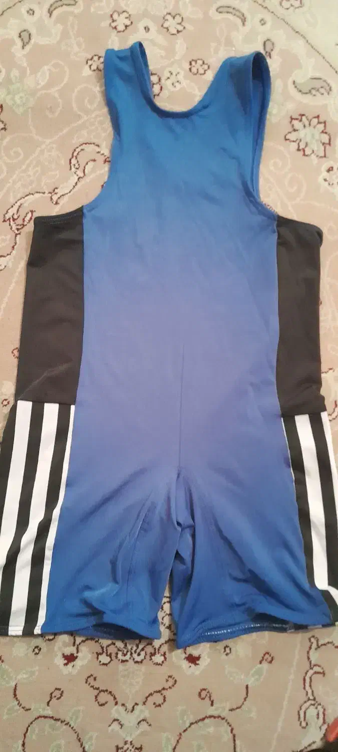 ۲ عدد دوبنده کشتی|لباس|ساری, |دیوار