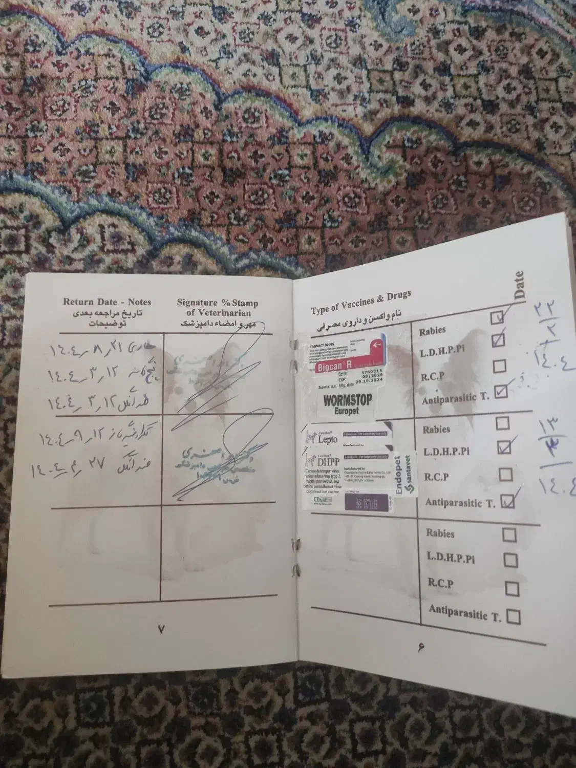 سگ دوبرمن|سگ|اندیشه, اندیشه فاز ۳|دیوار
