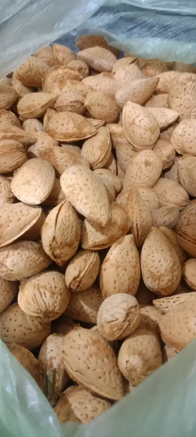بادام درختی تلخ|خوردنی و آشامیدنی|تهران, جمال‌زاده|دیوار