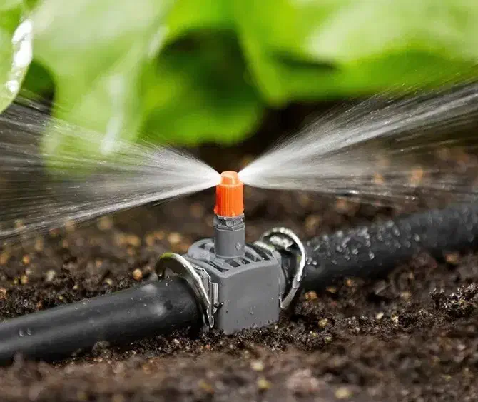 طراحی واجرای فضای سبز،آبیاری قطره ای|خدمات باغبانی و درختکاری|پرند, فاز ۳|دیوار