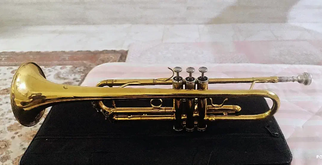 ترومپت|سازهای بادی|قم, نوقطار|دیوار