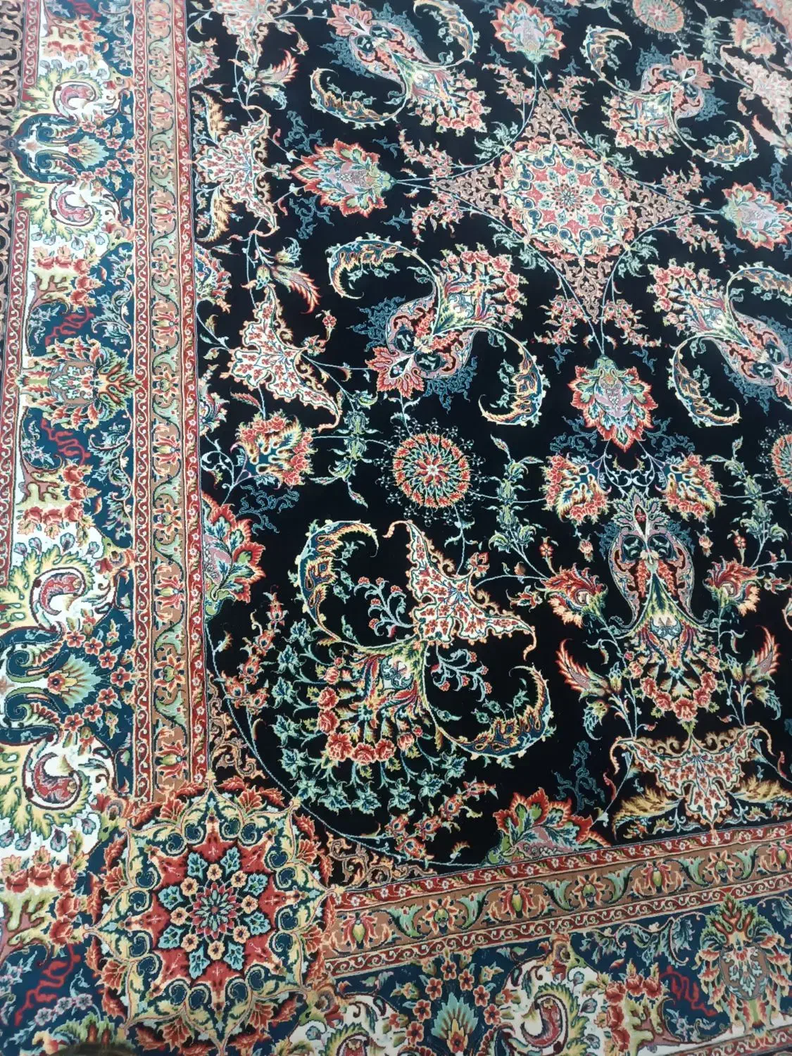 فرش|فرش|بندرعباس, |دیوار