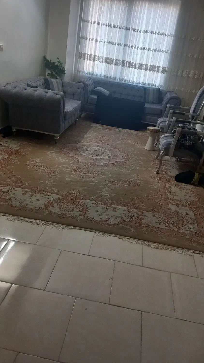 فرش ۱۲ متری گردویی رنگ|فرش|محمدیه-قزوین, |دیوار