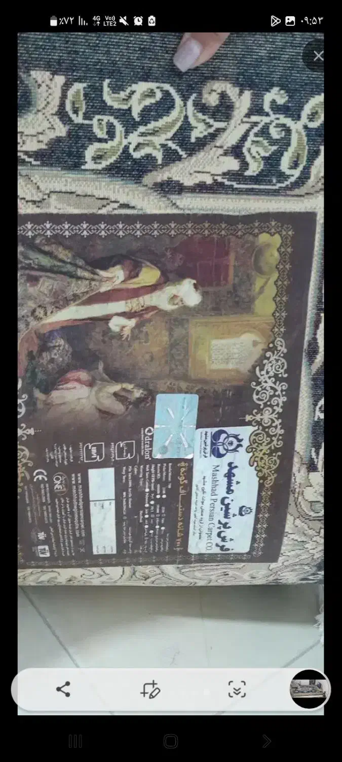 یک عدد قالی ۱۲ متری|فرش|گلبهار, شهر جدید گلبهار|دیوار