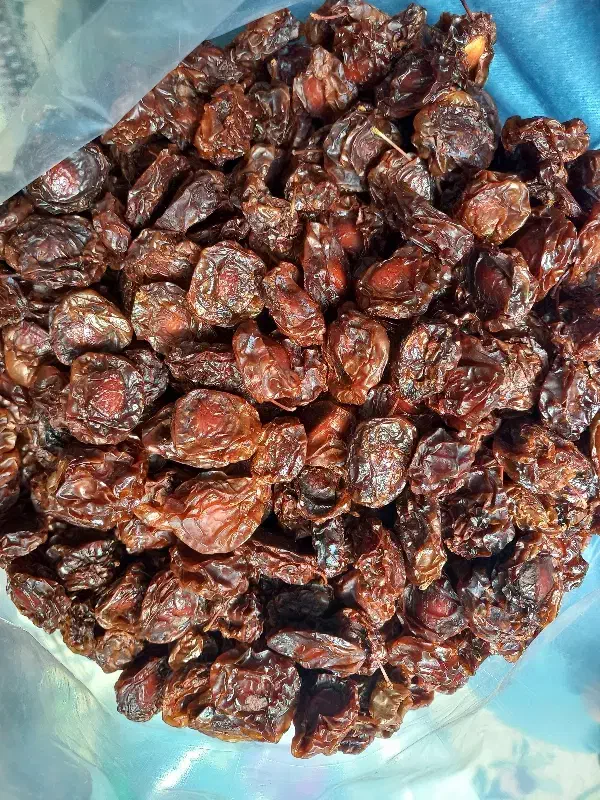 آلوچه به فروش میرسد|خوردنی و آشامیدنی|مرند, |دیوار