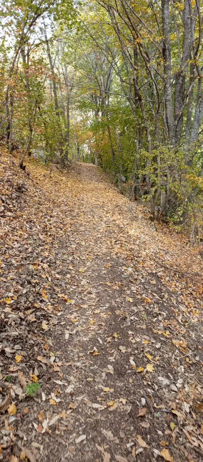 سرویس مدارس|خدمات حمل و نقل|شیروان (خراسان), |دیوار