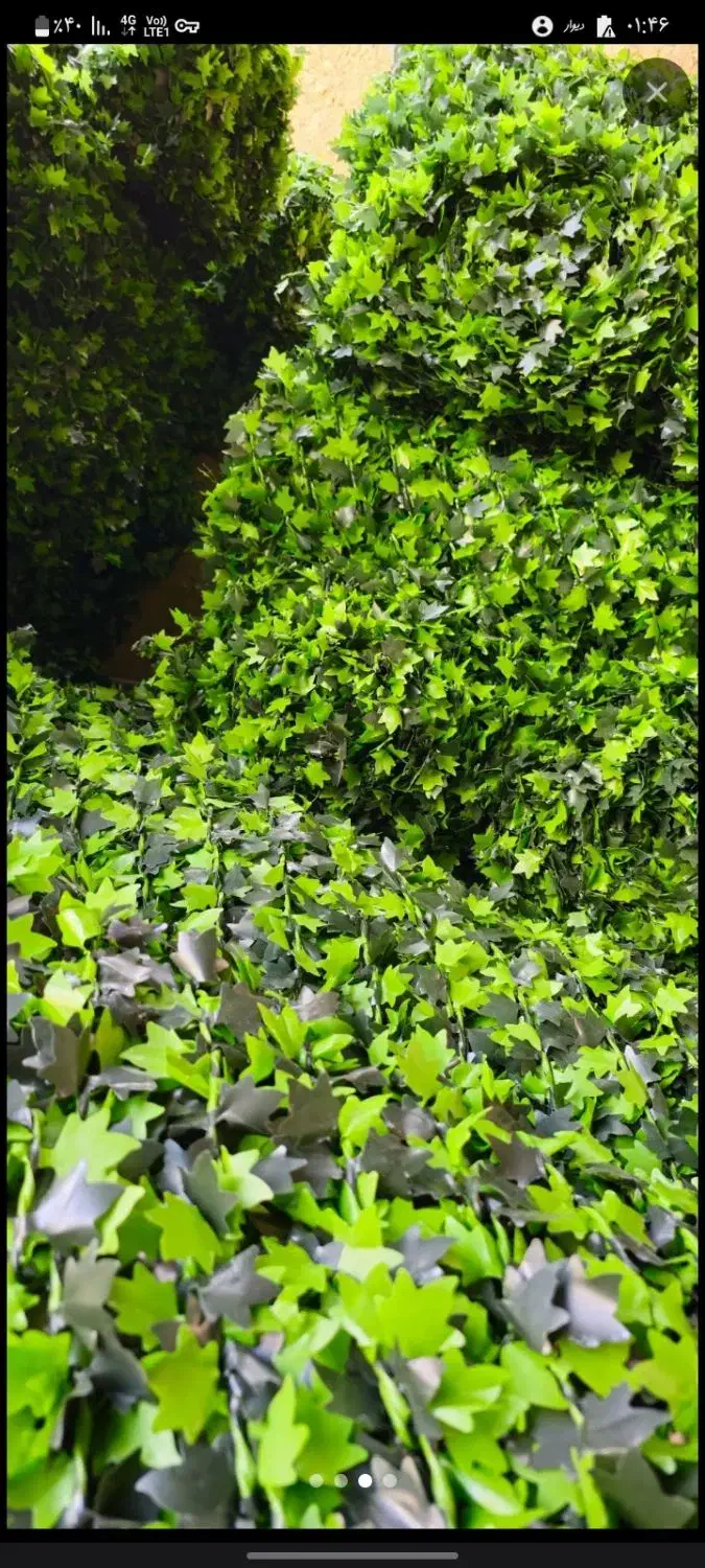 فروش فنس برگی و فنس چمنی|خدمات پیشه و مهارت|آمل, |دیوار