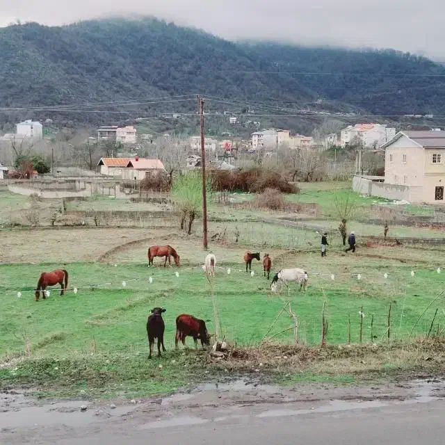 رهن آپارتمان جاده لوحه سرا ماسال|اجارهٔ آپارتمان|ماسال, |دیوار