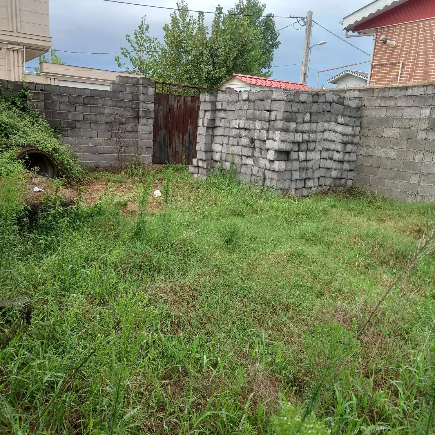 فروش  زمین  ۱۴۵  متری  مسکونی  در کیاشهر|فروش زمین و ملک کلنگی|کیاشهر, |دیوار