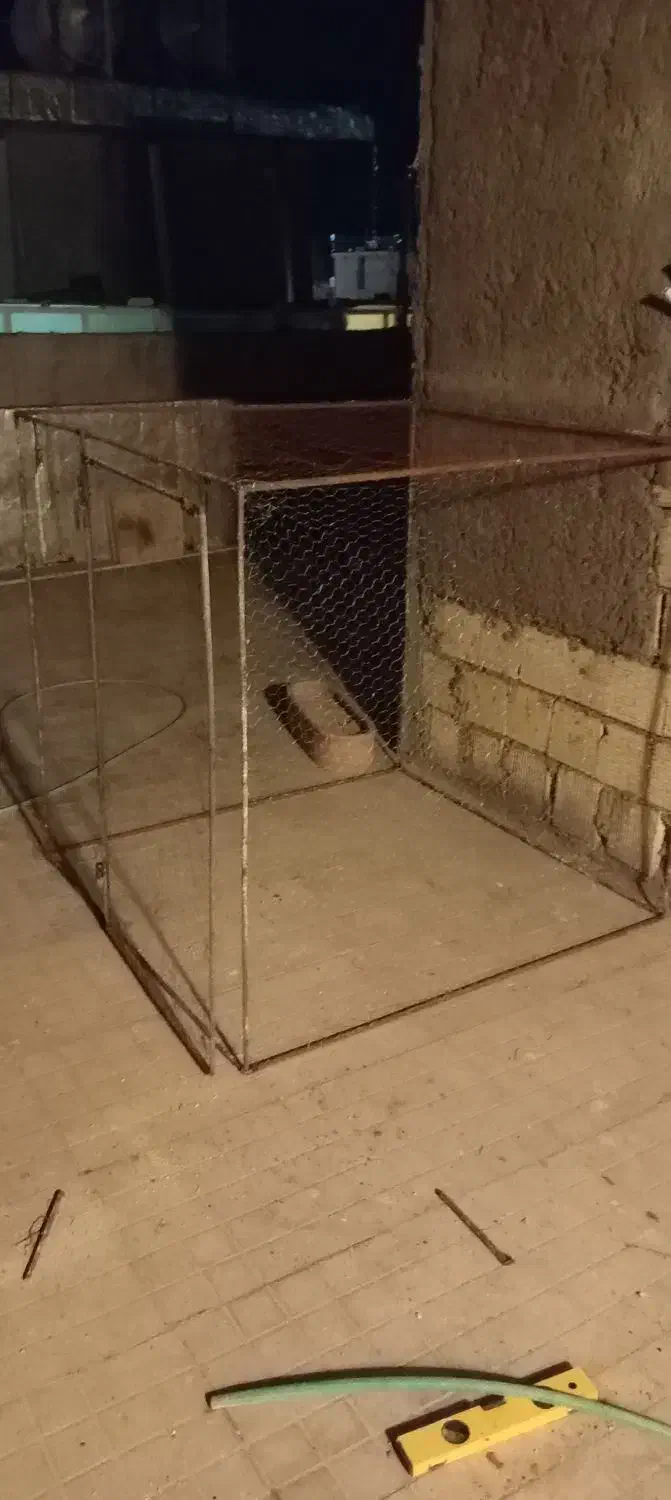 تله تور|لوازم جانبی حیوانات|شیراز, گویم|دیوار