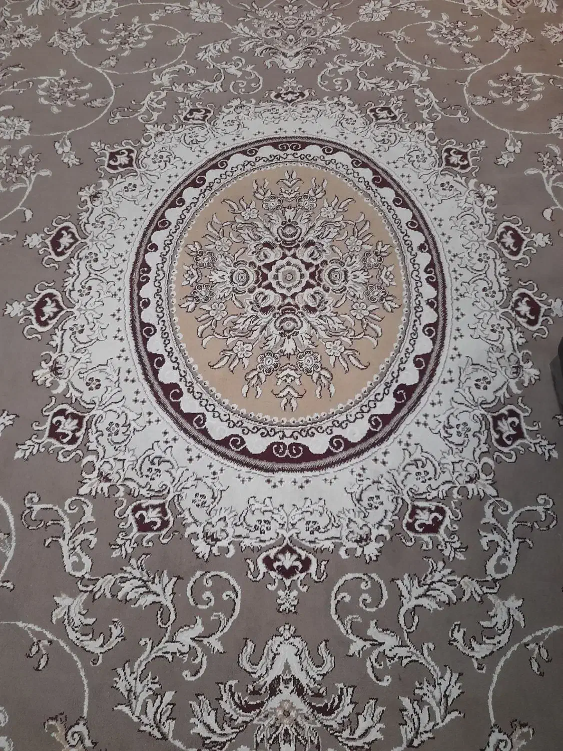 جفت فرش گردویی|فرش|تربت جام, علوی|دیوار