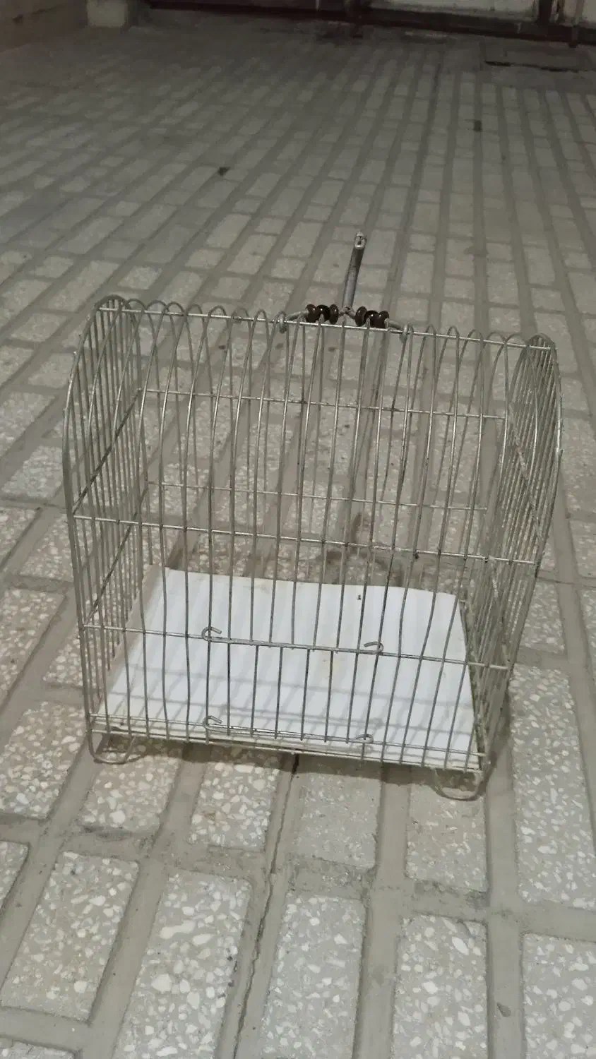 قفس|پرنده|کرمانشاه, |دیوار