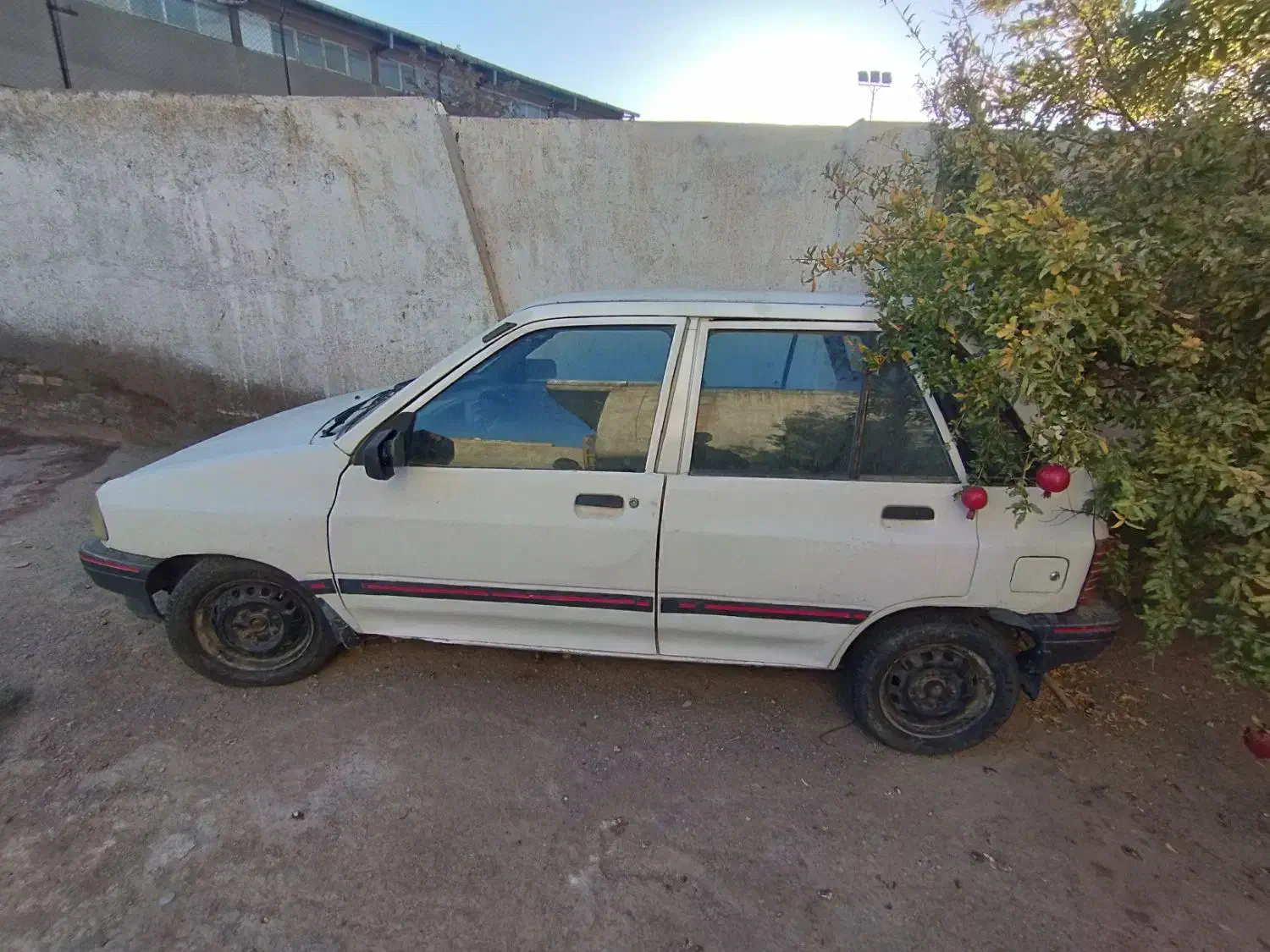 پراید هاچ بک 74|خودرو سواری و وانت|تربت جام, مولانا|دیوار