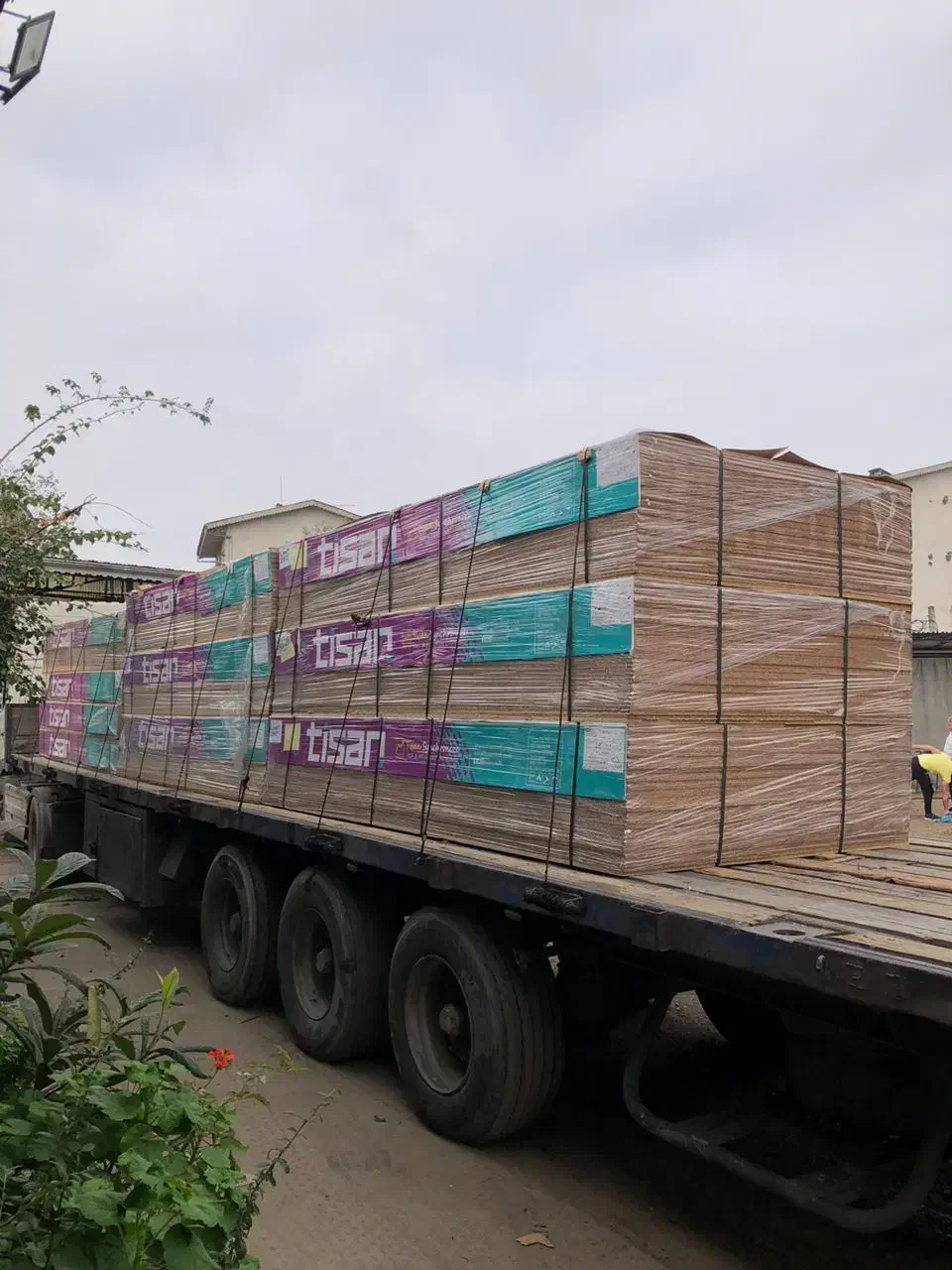 ام دی اف  ملامین سفید رنگی. پالتی .نقد و چک صیادی|عمده‌فروشی|رشت, کوی امام رضا|دیوار