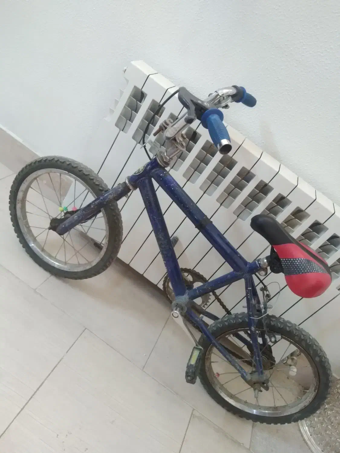 دوچرخه|دوچرخه، اسکیت، اسکوتر|شاهین‌شهر, خانه کارگر|دیوار