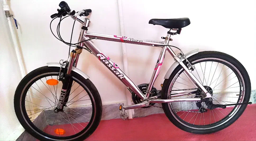 دوچرخه ۲۶ آساک اصلی|دوچرخه، اسکیت، اسکوتر|شیروان (خراسان), |دیوار