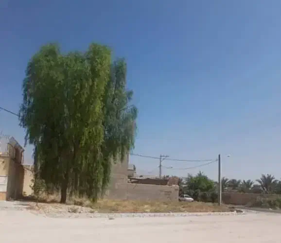 فروش ملک و زمین کلنگی مسکونی متراژ 316|فروش زمین و ملک کلنگی|کازرون, |دیوار