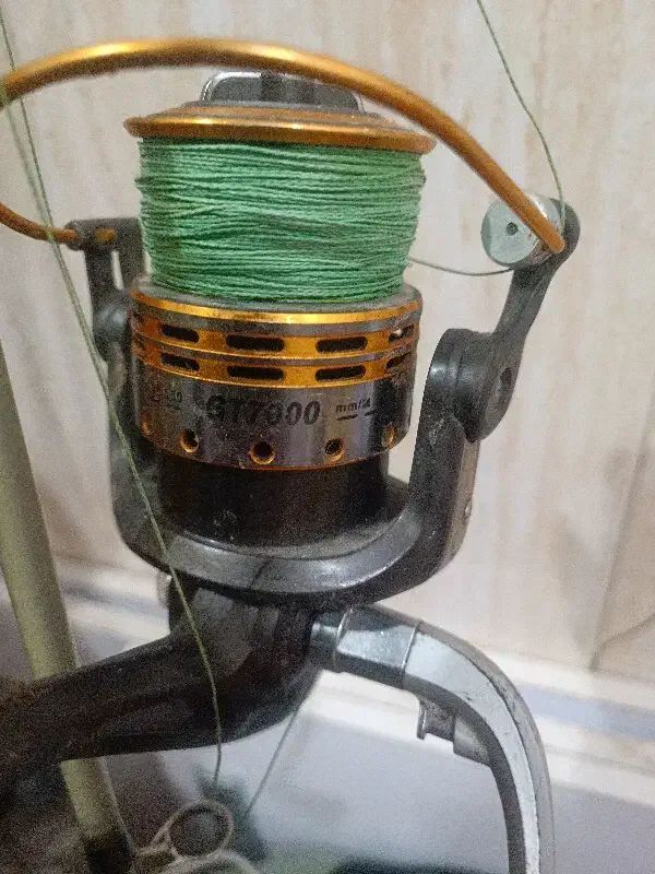 لنسر|ماهیگیری|مسجد سلیمان, |دیوار