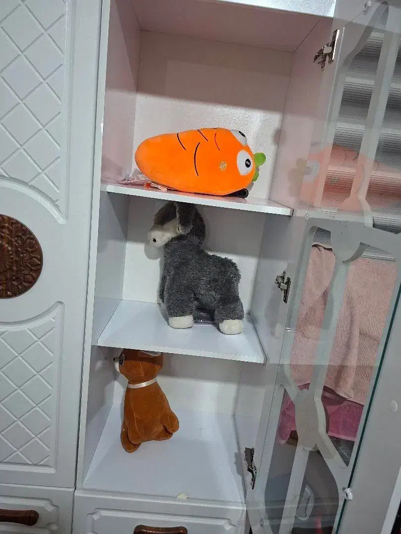 کمد|جاکفشی، کمد، دراور|ساوه, |دیوار