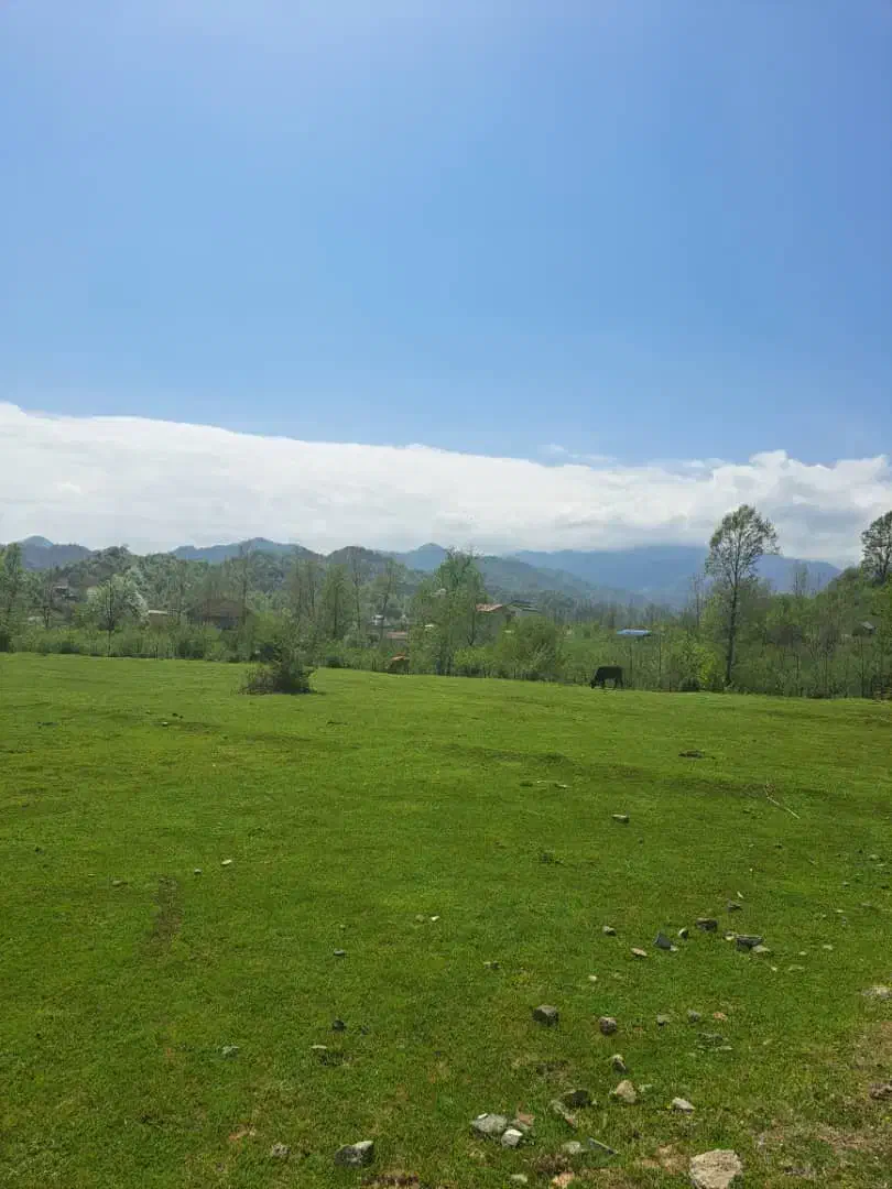 خواهان مشارکت درساخت ویلا|مشارکت در ساخت املاک|آستارا, |دیوار