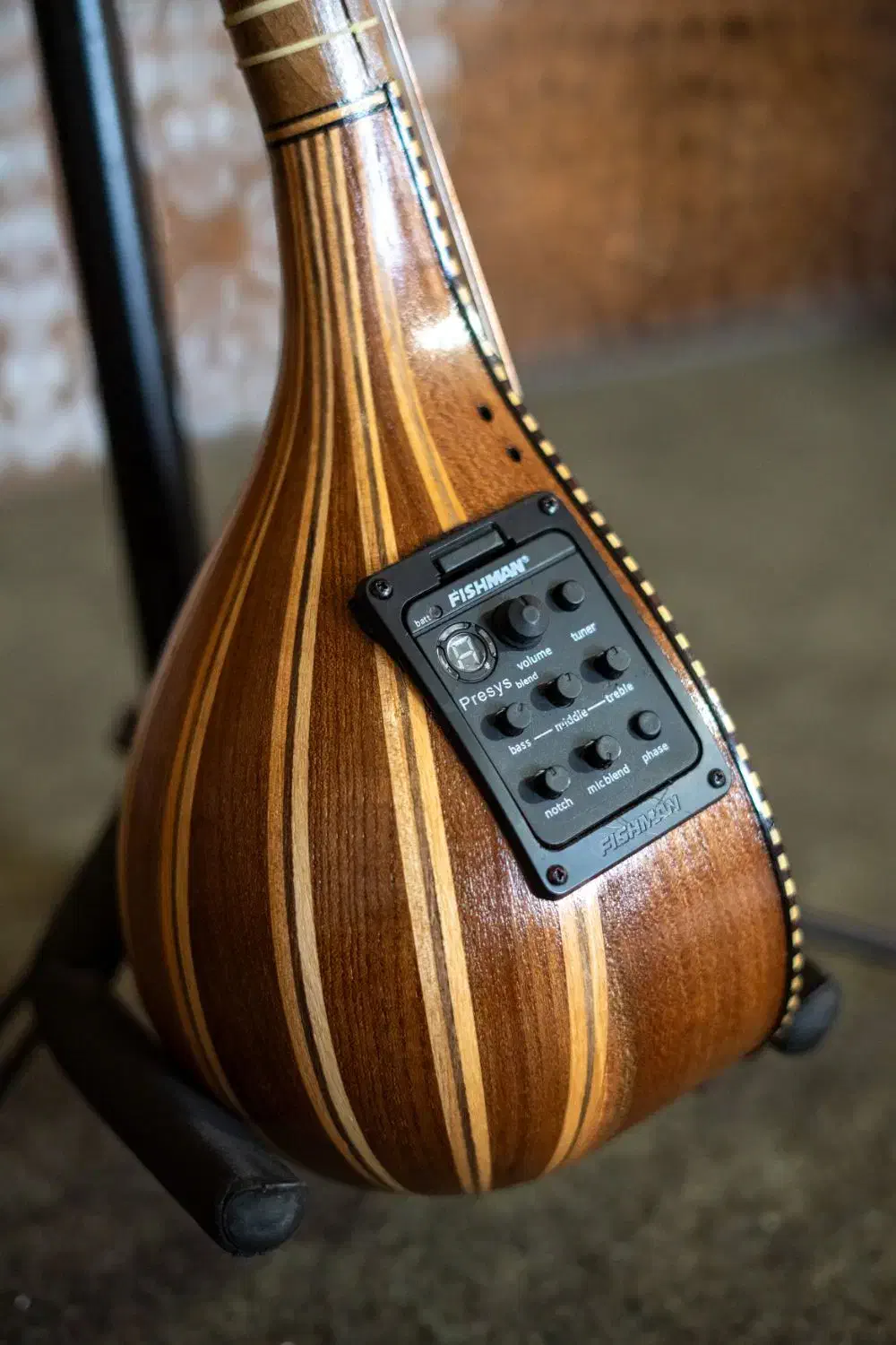 سه تار الکترو آگوستیک|سازهای سنتی|تهران, دکتر هوشیار|دیوار