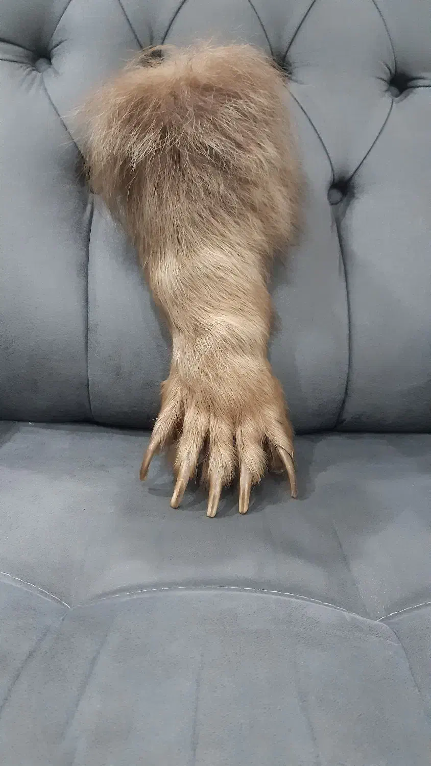 لوازم زینتی آنتیک|کلکسیون و سرگرمی|تهران, شهرک نفت|دیوار