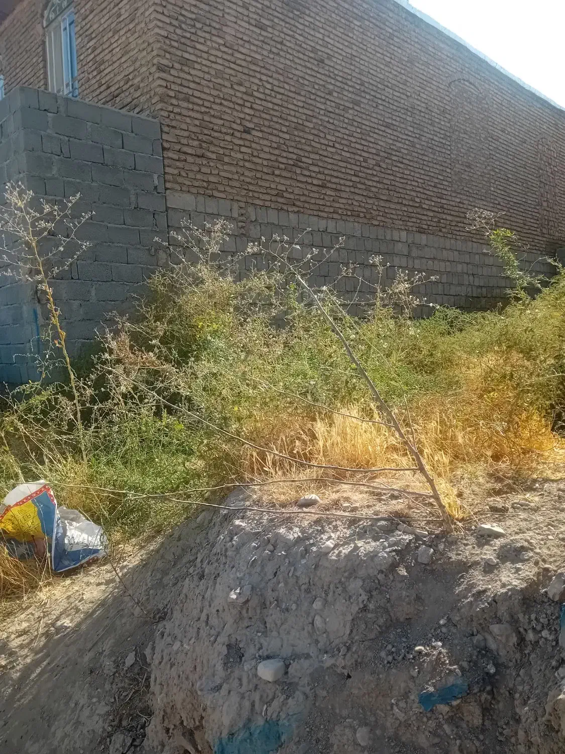 زمین خام|فروش زمین و ملک کلنگی|شاهین دژ, |دیوار