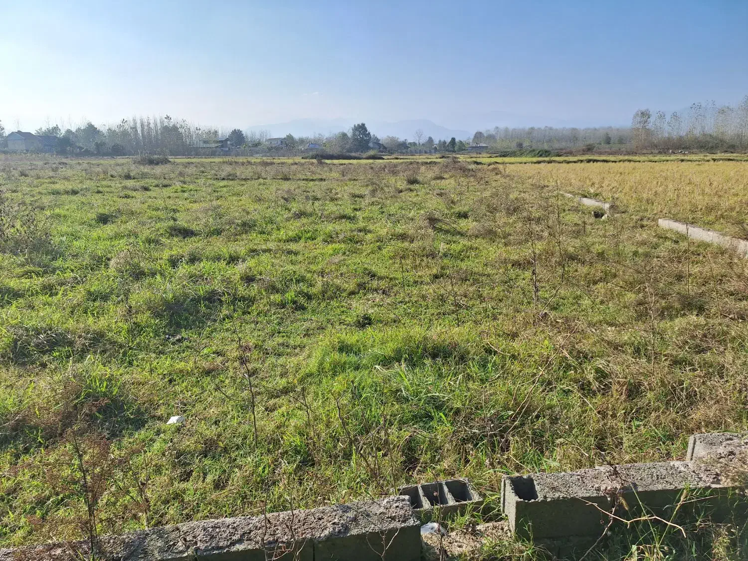 فروش زمین ۲۵۰ متری در ماسال|فروش زمین و ملک کلنگی|طاهرگوراب, |دیوار