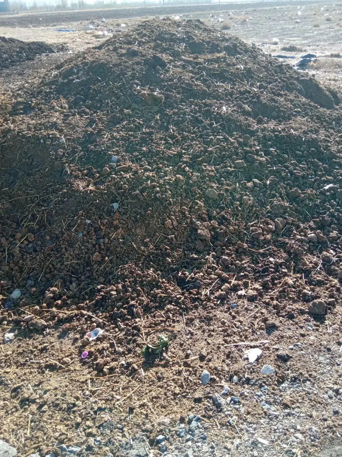 کود حیوانی خشک|خدمات باغبانی و درختکاری|فومن, |دیوار