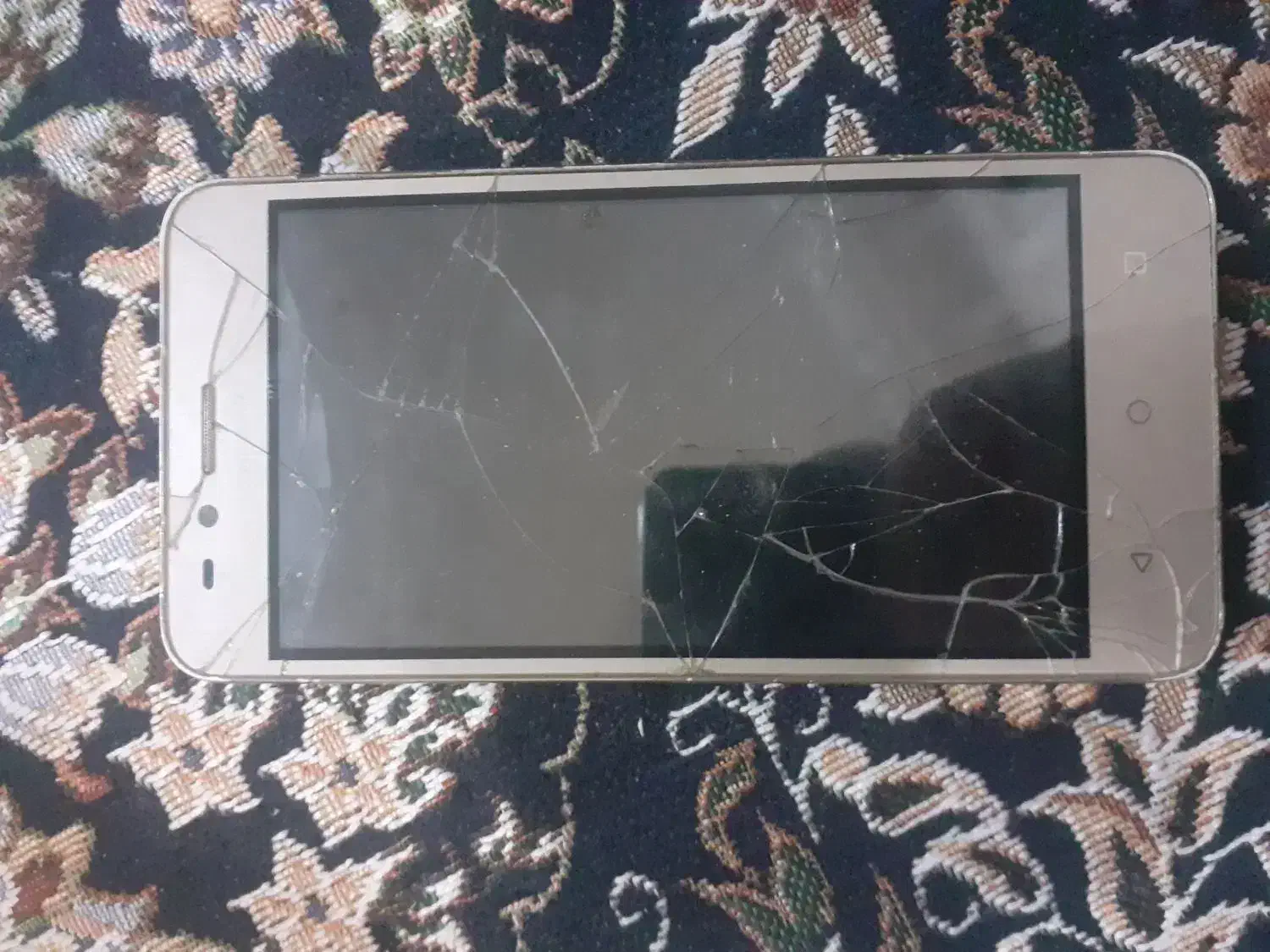 معامله بایک جوجه عروس هلندی یاجوجه خروس نسل دار|موبایل|ایرانشهر, |دیوار