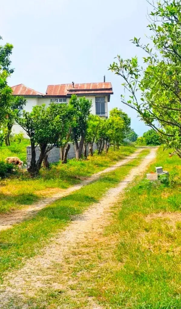 پلاکهای شمالی 220متری با سند ومجوز|فروش زمین و ملک کلنگی|تهران, نظامآباد|دیوار