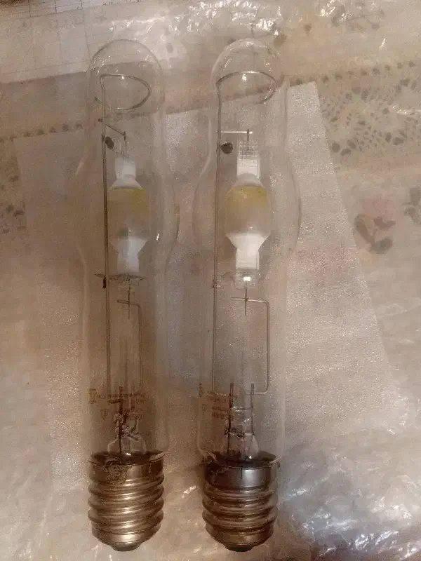 لامپ خیاری اسرام اصل ۲ عدد ۴۰۰ وات|لامپ و چراغ|ساری, |دیوار