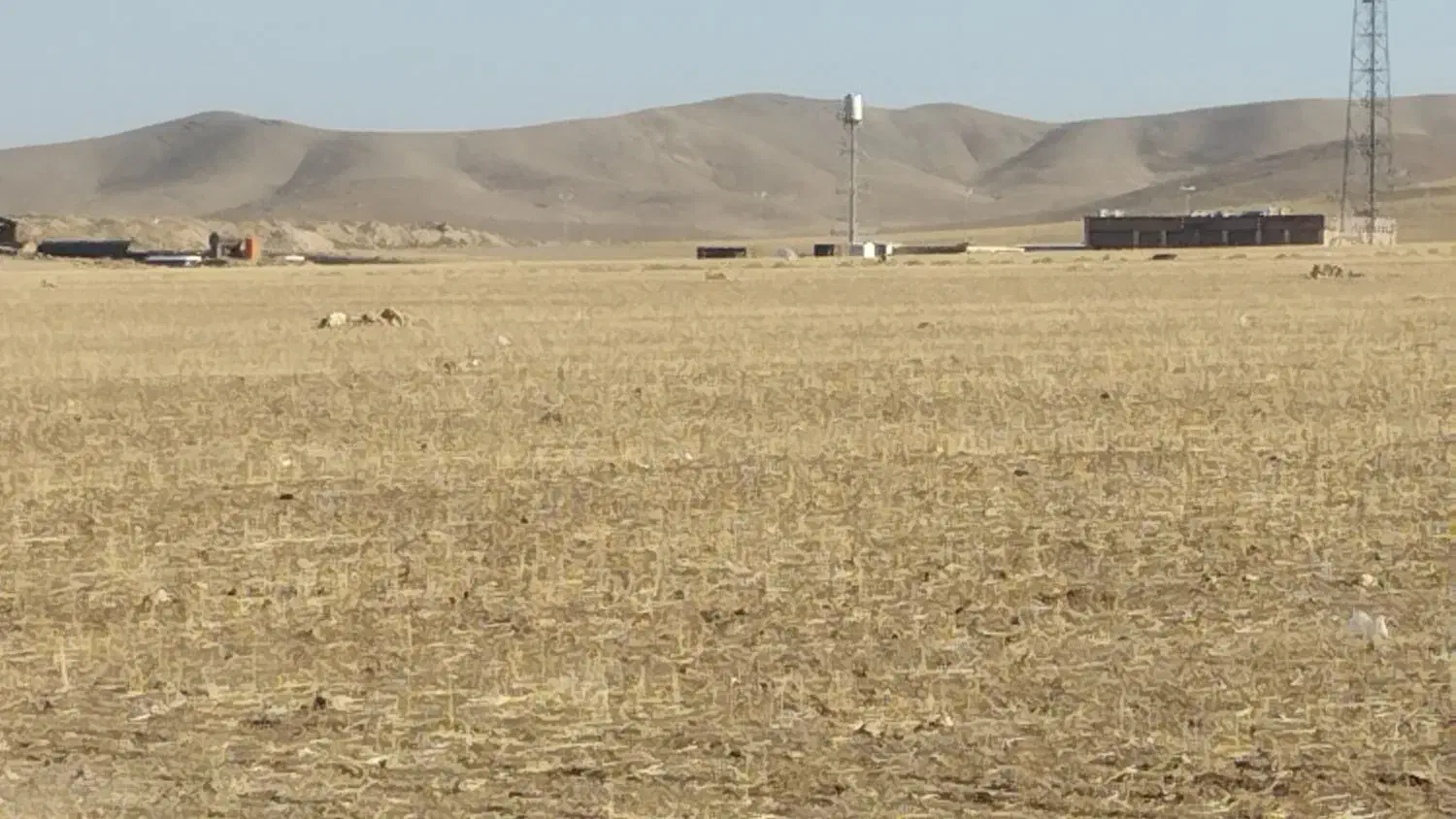 زمین دیم|فروش دفتر صنعتی، کشاورزی، تجاری|کبودرآهنگ, |دیوار