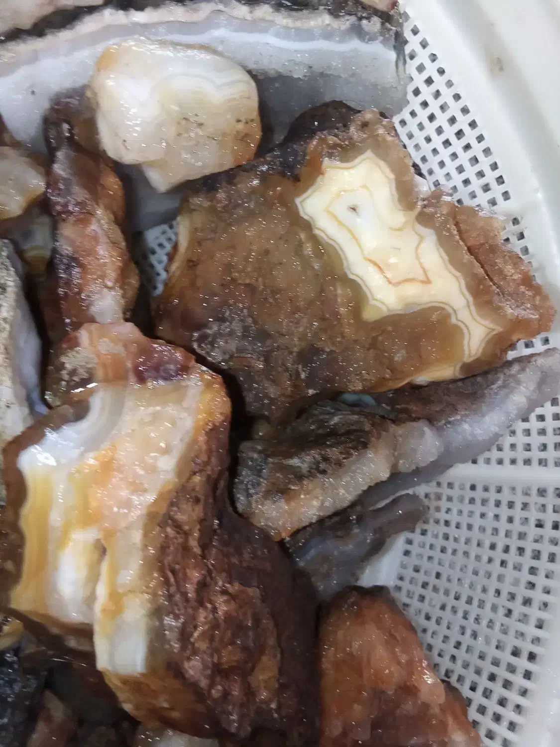 سنگ کلکسیونی|کلکسیون سکه، تمبر، اسکناس|مشهد, کوی دروی|دیوار