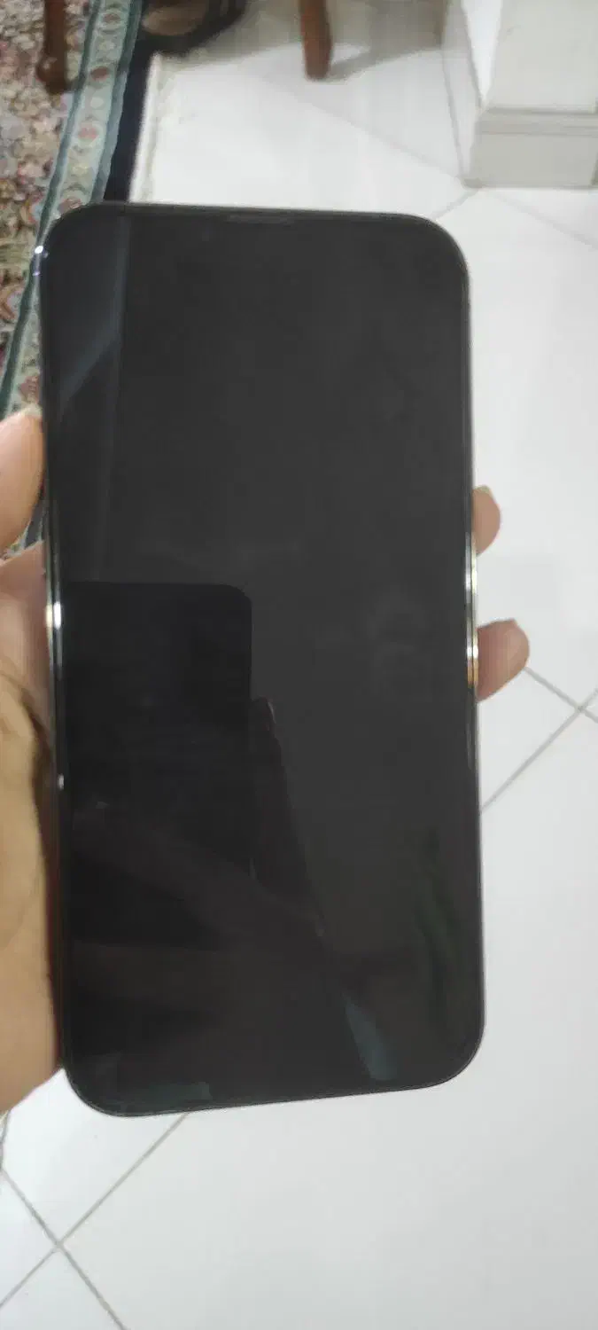 ایفون pro max 13 پرومکس ظرفیت 256|موبایل|مشهد, موسوی قوچانی|دیوار