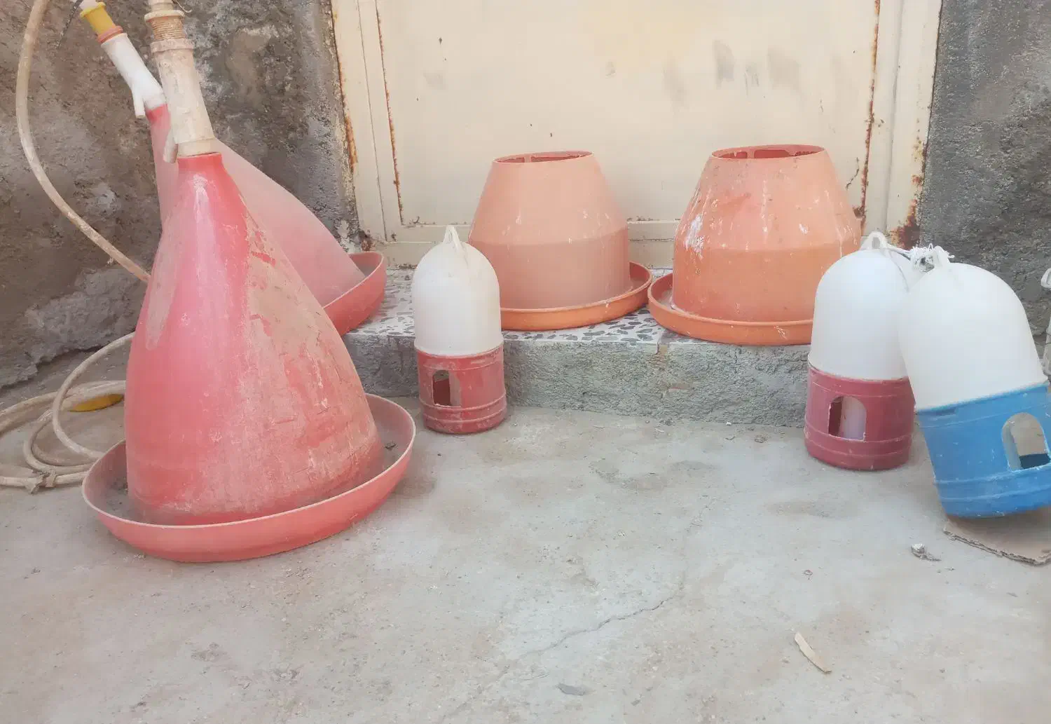 دون خوری ابخوری|لوازم جانبی حیوانات|بوشهر, |دیوار