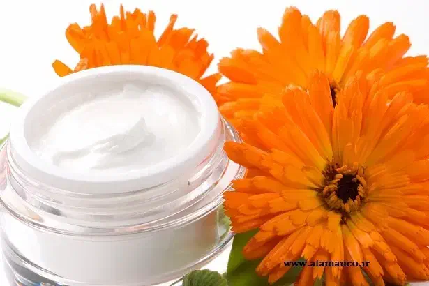 فرصت سرمایهگذاری در فناوری پزشکی دانش بنیان|خدمات مالی، حسابداری، بیمه|تهران, گلستان (شهرک راه آهن)|دیوار