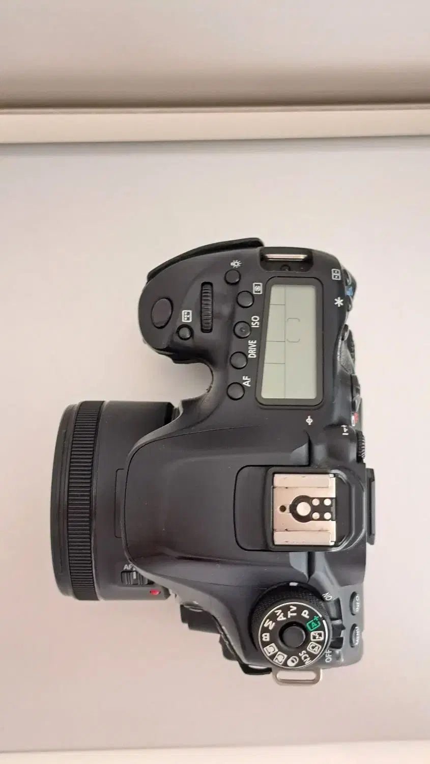 دوربین حرفه ای 80D کنون با لنز ۵۰ فیکس|دوربین عکاسی و فیلمبرداری|اردبیل, |دیوار