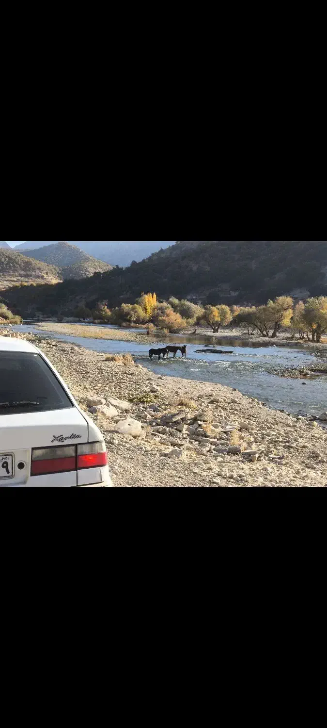 جابجایی مسافر یاسوج- یزد|خدمات حمل و نقل|یزد, |دیوار