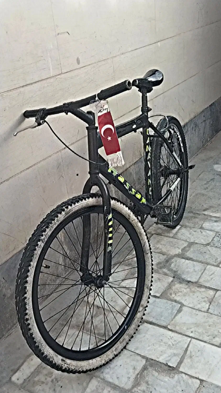 دوچرخه 24 دماوند|دوچرخه، اسکیت، اسکوتر|بیرجند, |دیوار