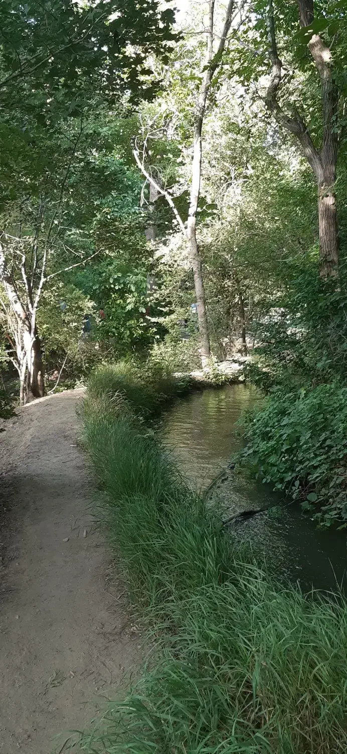 زمین مسکونی ارنگه اول جاده چالوس|فروش زمین و ملک کلنگی|آسارا, |دیوار