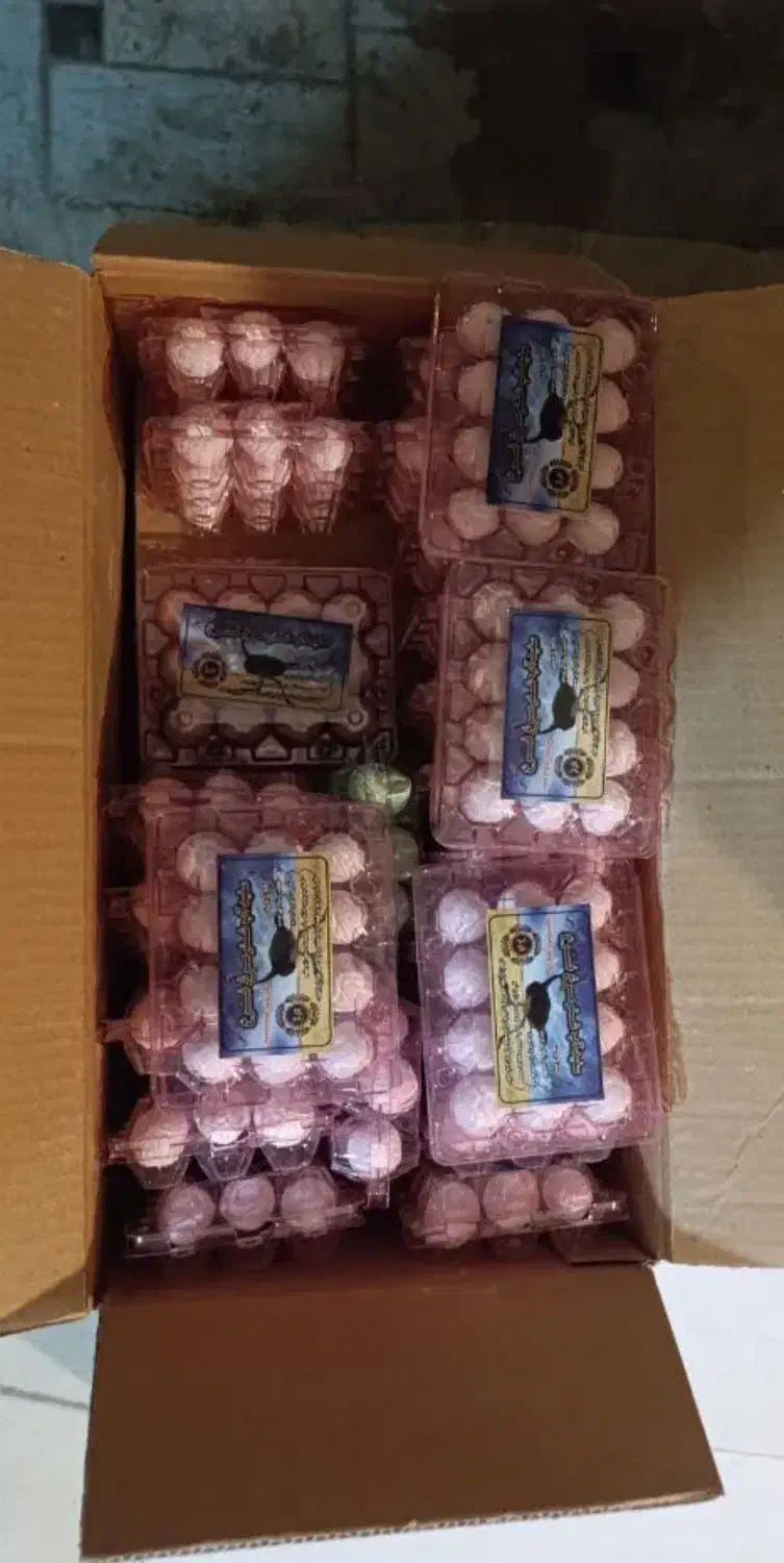 عصاره تولید خراسان واسپری چربی زدا نانوتک|مواد شوینده و دستمال کاغذی|یاسوج, |دیوار