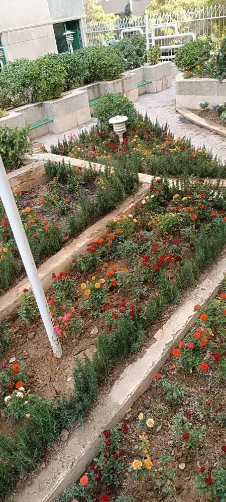 خدمات باغبانی باغچه کاری گلکاری هرسکاری گل وگیا|خدمات باغبانی و درختکاری|کرج, گلشهر|دیوار