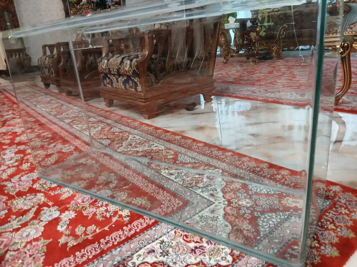 اکواریوم|ماهی|پردیس, فاز ۲|دیوار
